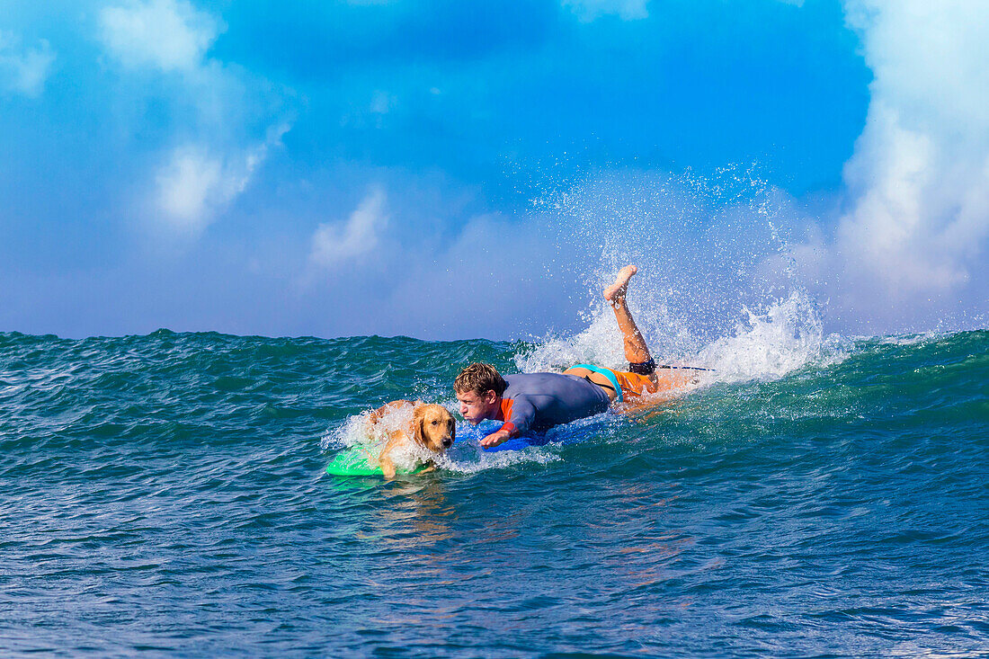 Surfer with a dog on the surfboard.