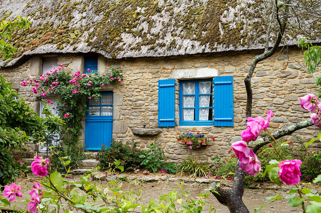 Reetgedecktes Haus, blaue Tür und Fensterläden, Museumsdorf Kerhinet, Naturpark Brière, Bretagne, Frankreich