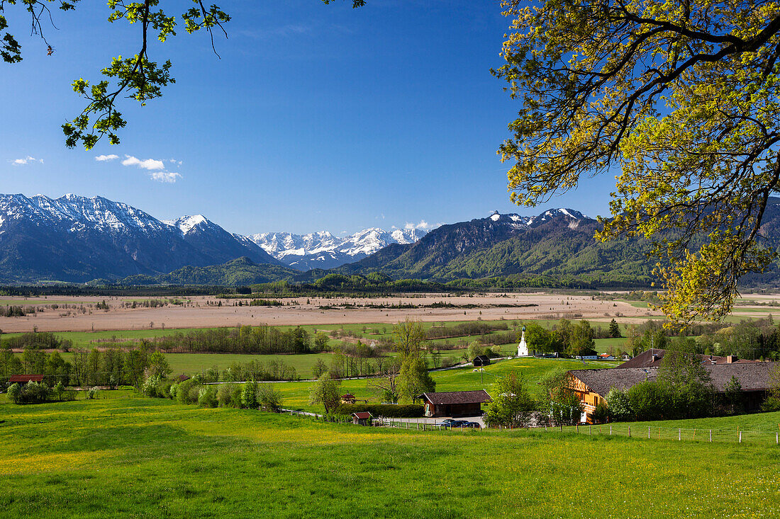 Murnauer Moos, Alpen, Landkreis Garmisch-Partenkirchen, Oberbayern, Bayern, Deutschland, Europa