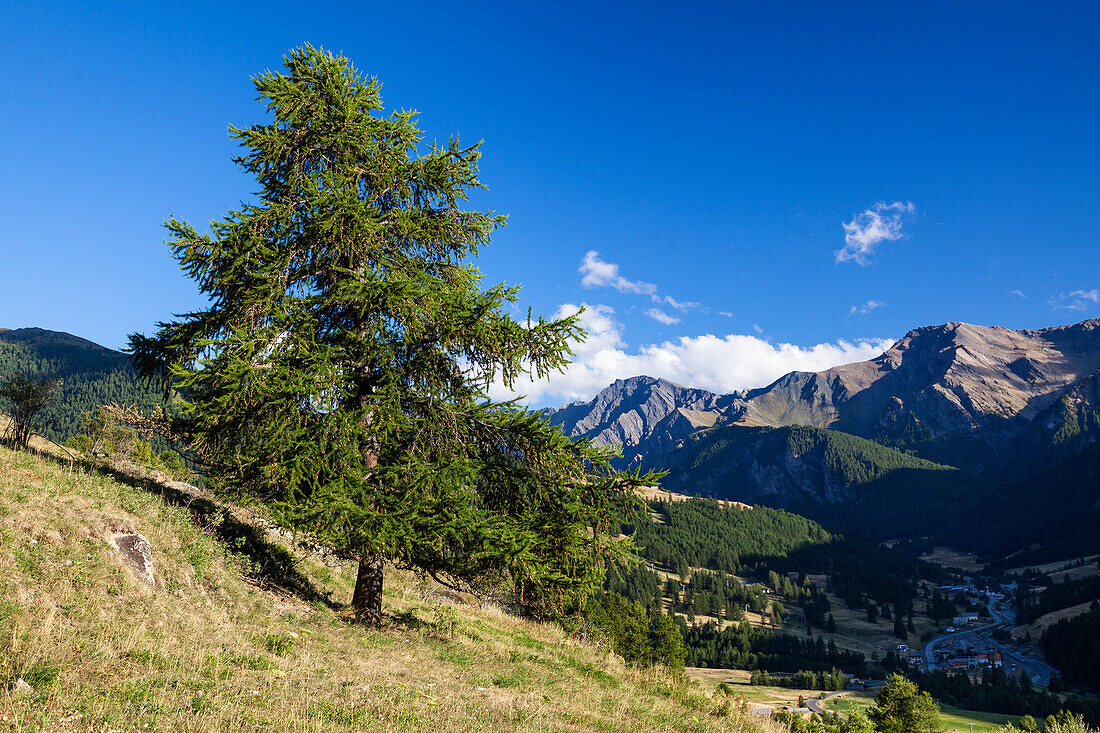 Queyras, Departement Hautes-Alpes, Region Provence-Alpes-Cote d’Azur, Alps, France, Europe