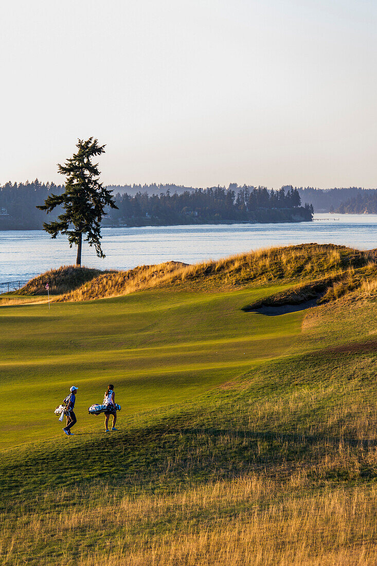 Golfers at Chambers Bay golf course, site of the 2015 US Open, near Tacoma, WA on a sunny evening.
