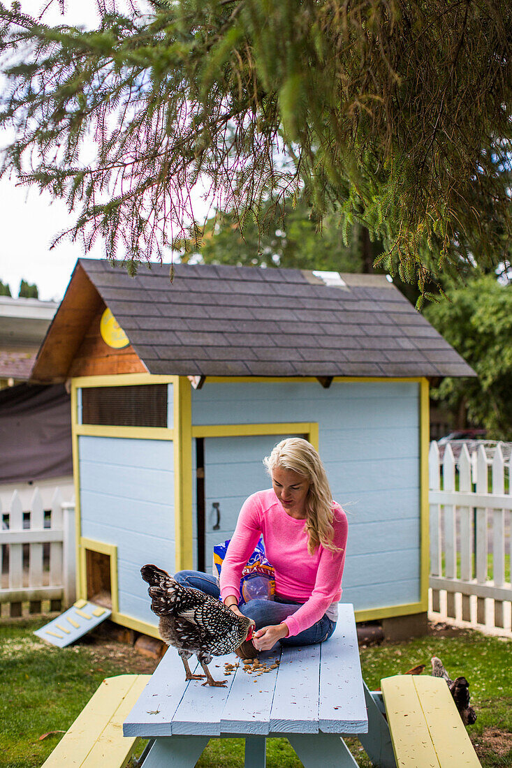 A backyard chicken coop in Bellingham, Washington. Backyard coops are growing in popularity throughout the country as people are wanting to source their food locally.