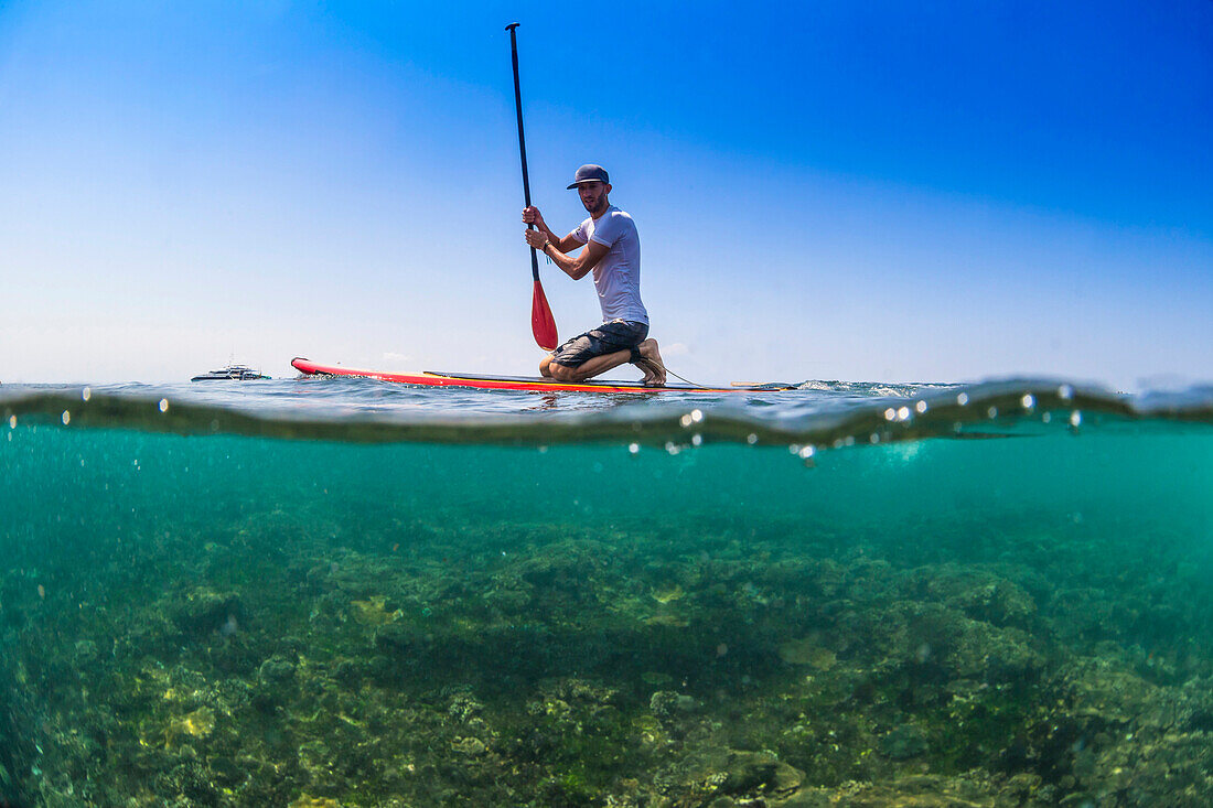 Sup surfing in tropical water.