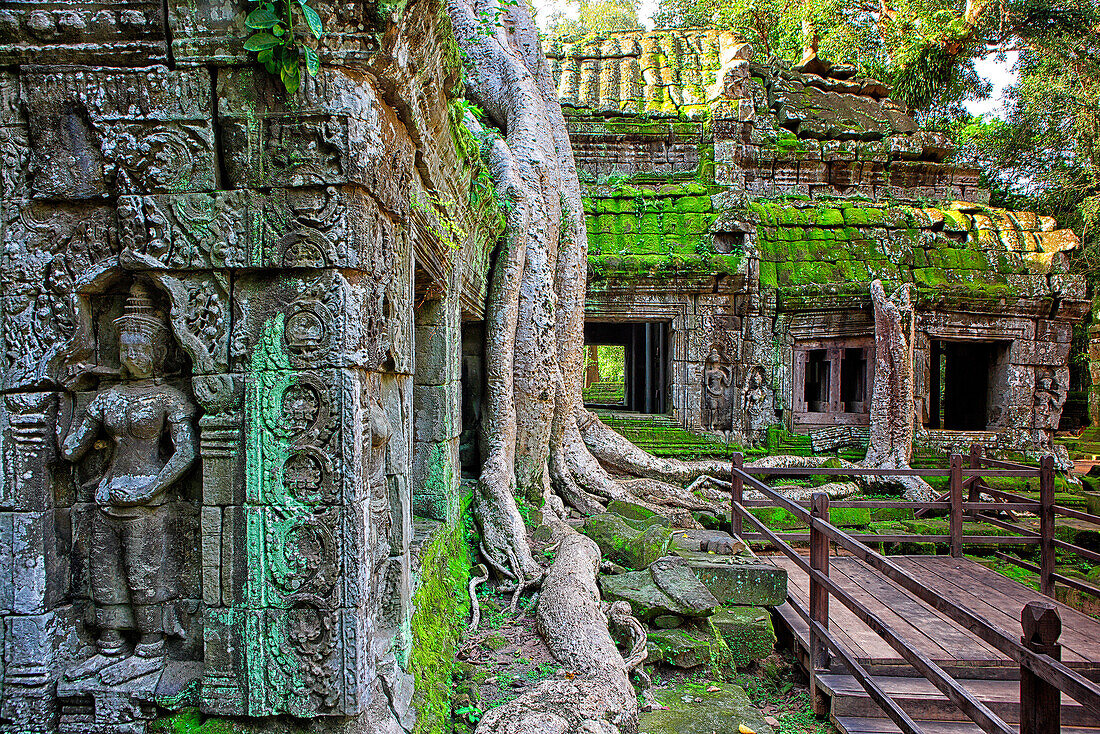 The famous temple of Ta Prohm at Angkor, Cambodia where the roots of the jungle trees intertwine with the masonry of these ancient structures.