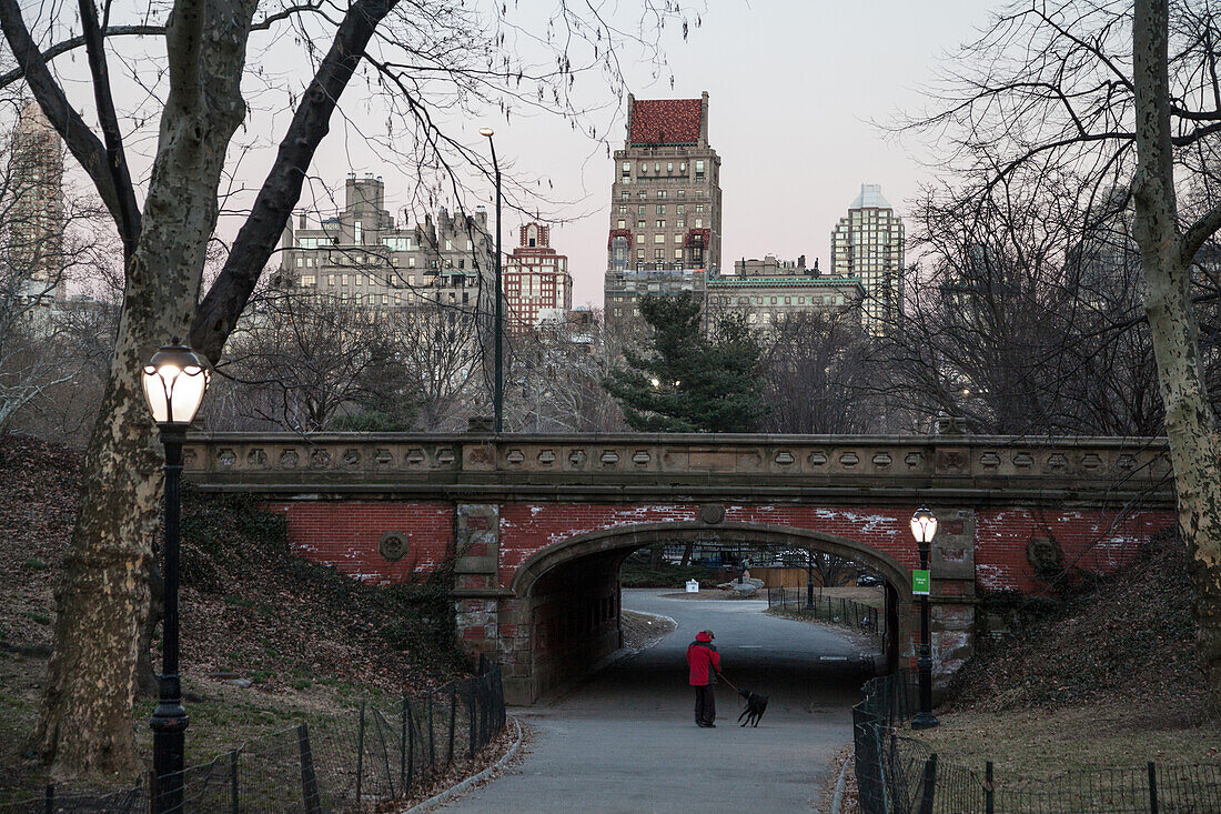 Central Park, Midtown, Manhattan, New York, USA