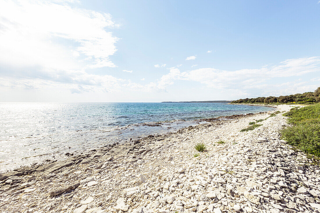 Mittelmeerküste mit Uferwäldchen, Peroj, Istrien, Kroatien