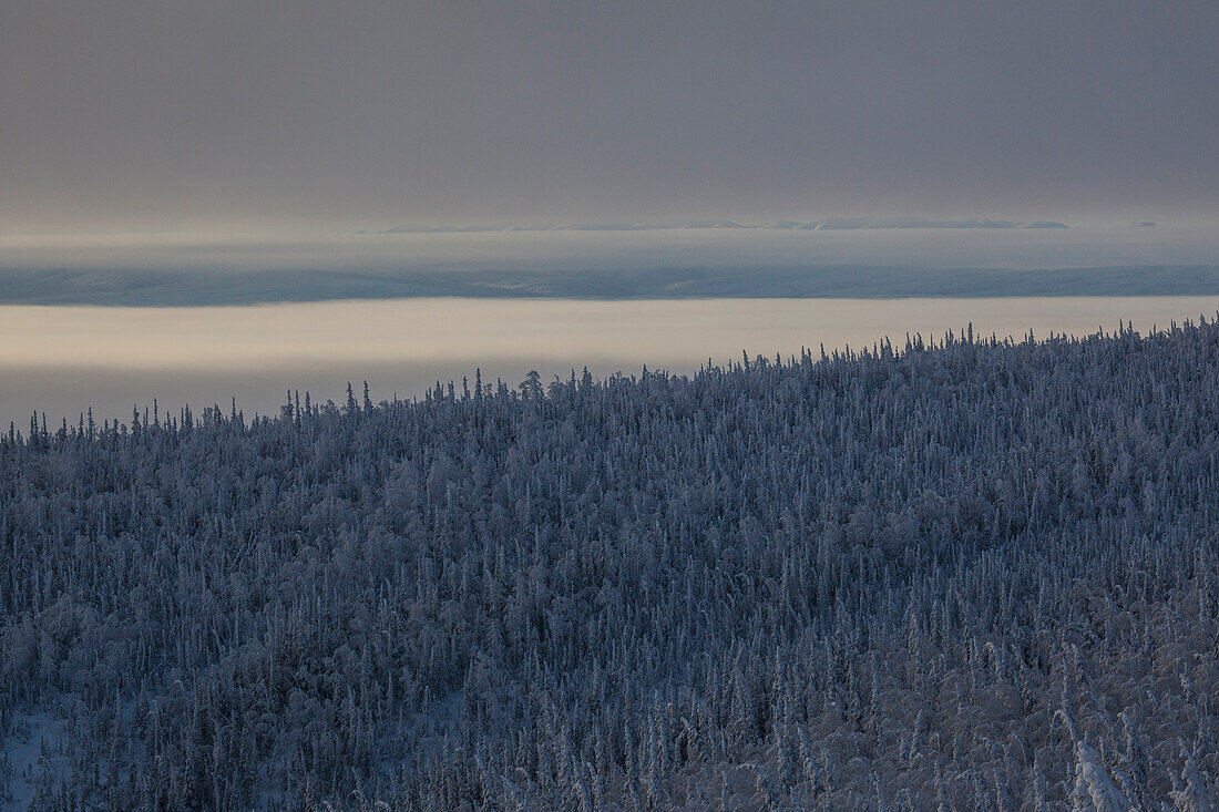 schneebedeckte Landschaft mit Morgennebel am Dalton Highway, Yukon-Koyukuk Census Area, Alaska, USA