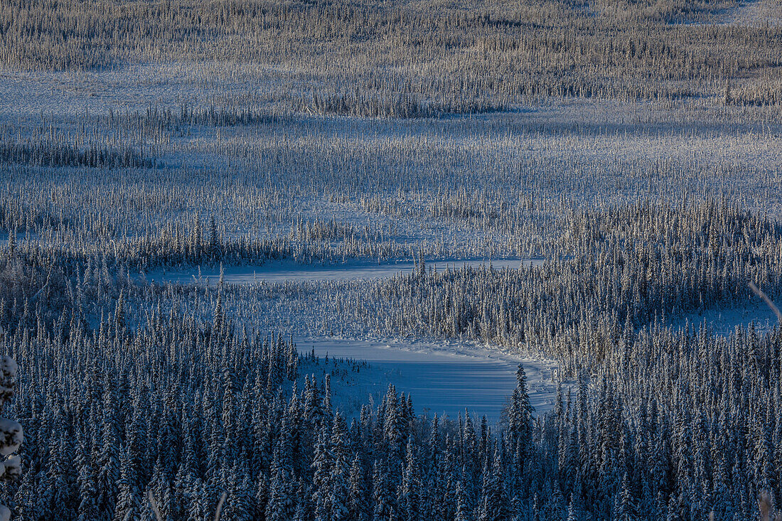 Schneebedeckte Bäume am Fluss Yukon, Yukon-Koyukuk Census Area, Alaska, USA