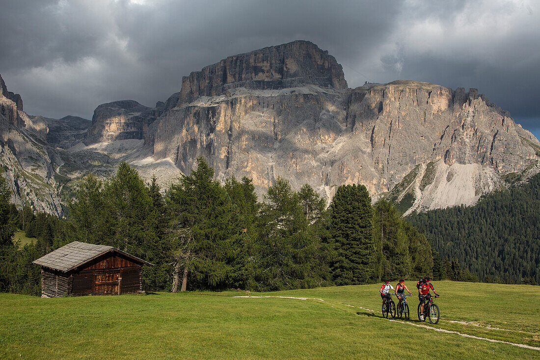 Mountain biker at Col Rodella, Sella group in the background, Trentino South Tyrol, Italy