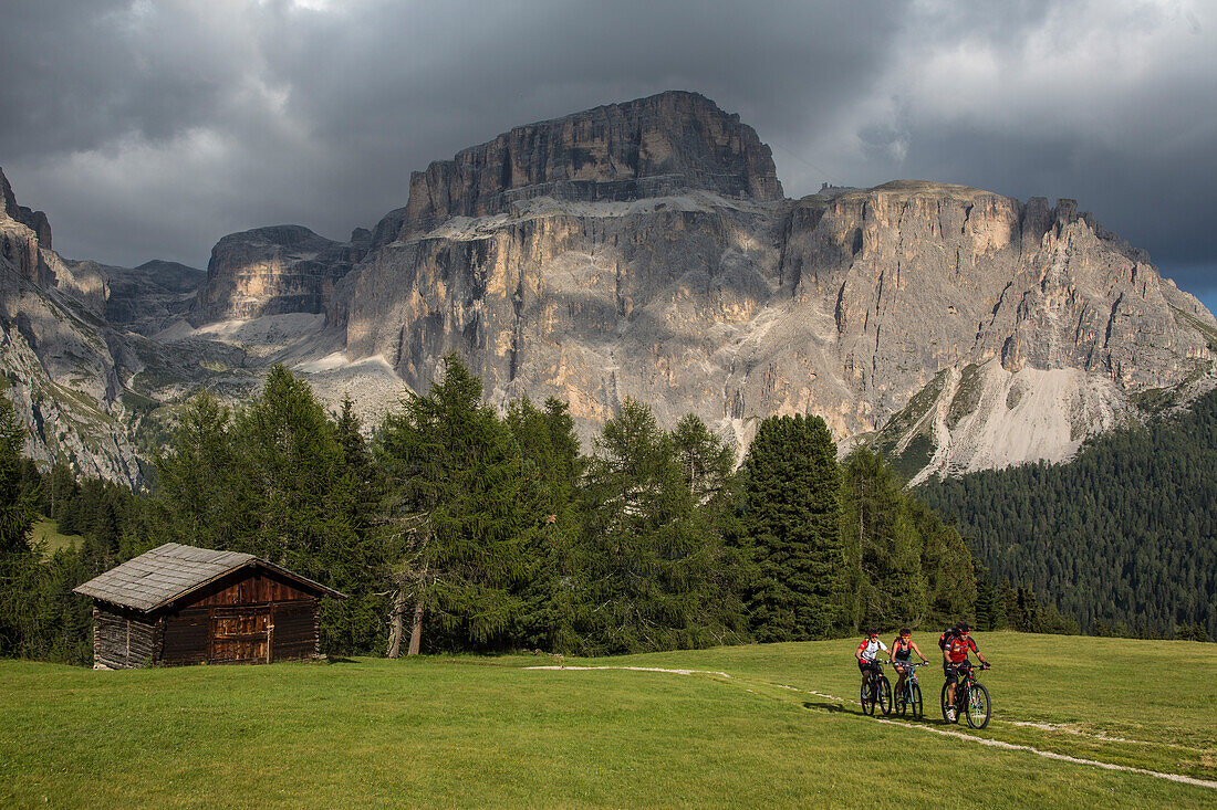 Mountainbiker am Col Rodella, dahinter Sella Gruppe, Trentino-Südtirol, Italien