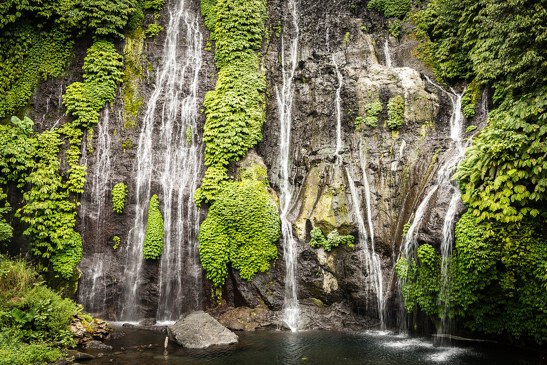 Wasserfall-Rinnsal mit dichter Vegetation - Indonesien, Bali