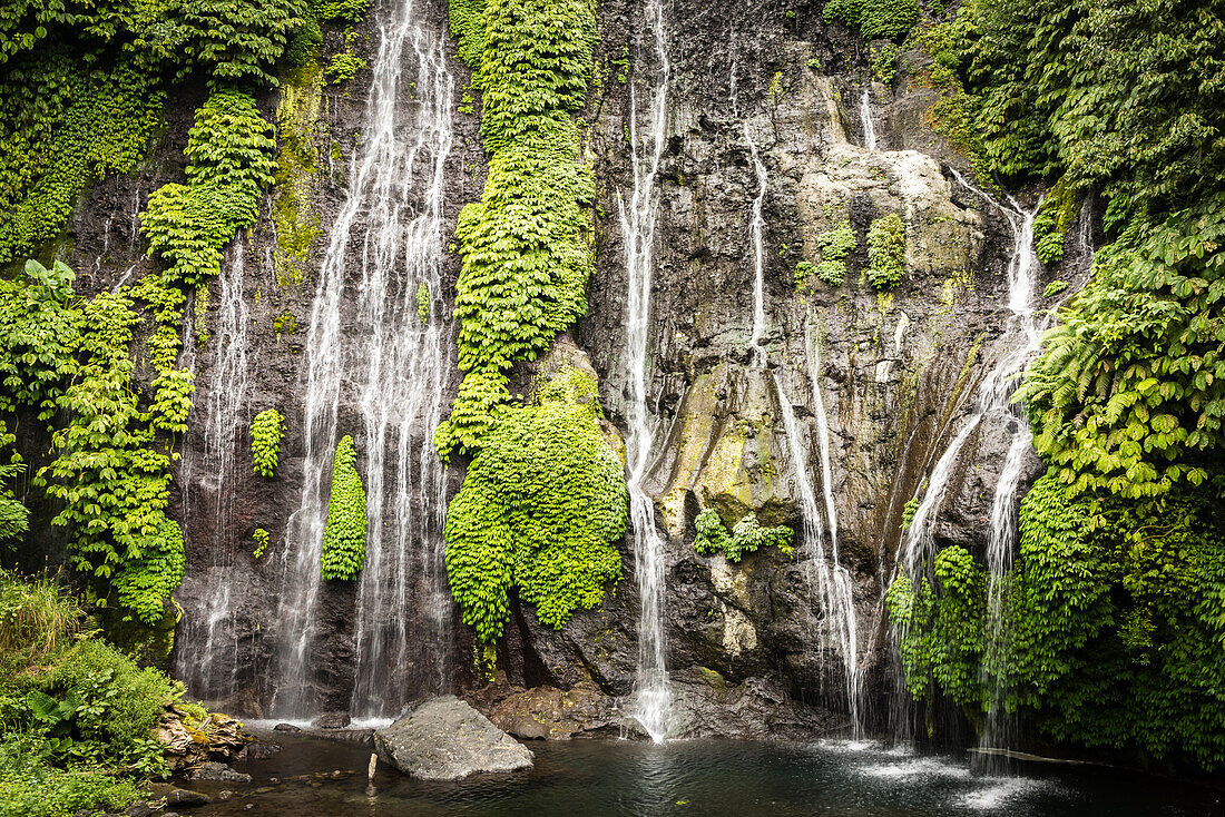 Waterfall trickle with thick vegetation - Indonesia, Java