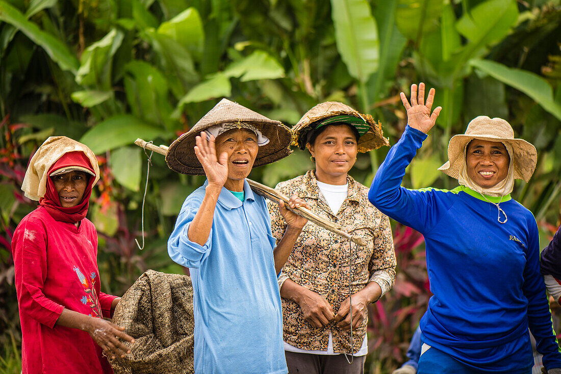 Feldarbeiterinnen stehen auf einem Reisfeld und winken -  Indonesien, Java