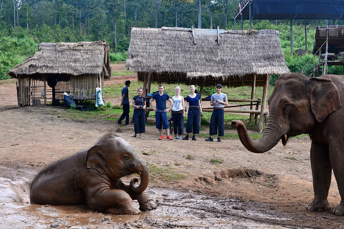 Elefantencamp von Bodo Förster bei Chiang Mai, Nord-Thailand, Thailand