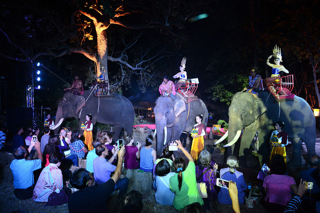 Vorstellung auf dem Elefanten Round Up- Fest in Surin, Isan, Ost-Thailand, Thailand
