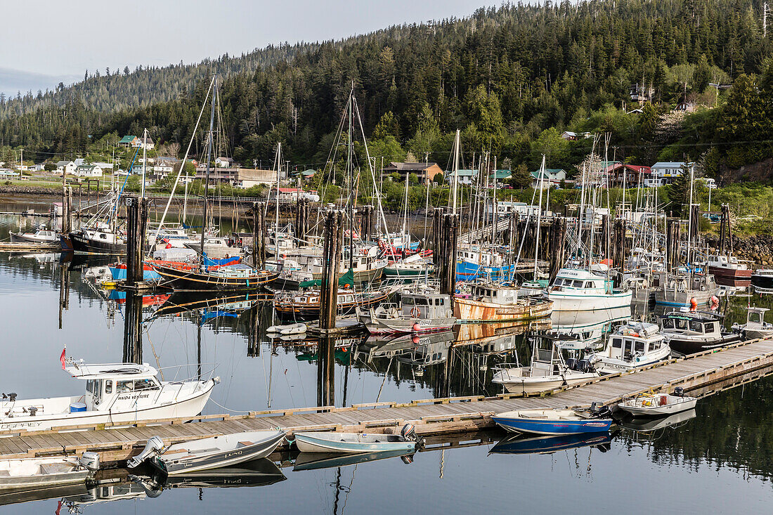 Queen Charlotte City Harbor, Bearskin Bay, Haida Gwaii Queen Charlotte Islands, British Columbia, Canada, North America