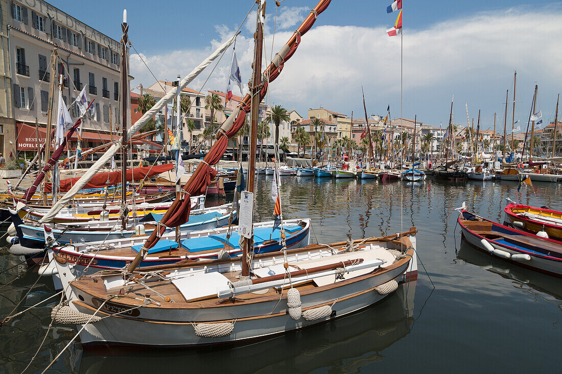 Traditional fishing boats moored in the harbour at Sanary-sur-Mer, Provence, France, Europe