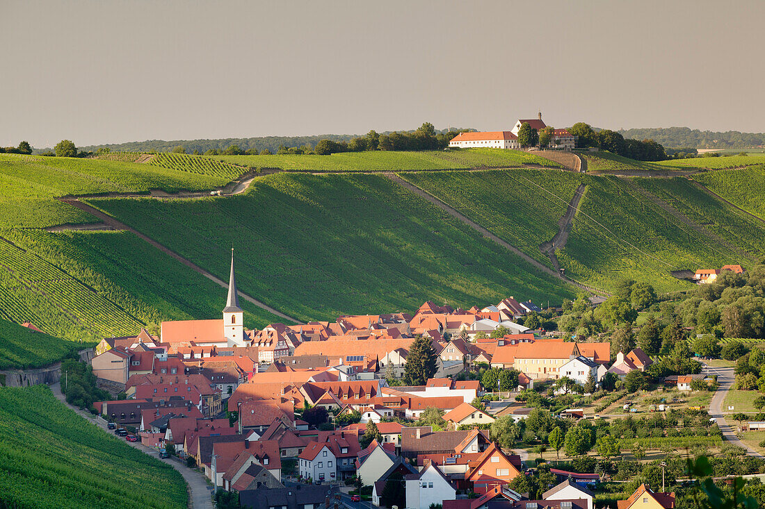 Wine village of Escherndorf and Vogelsburg Castle, Volkacher Mainschleife, Main River, Mainfranken, Lower Franconia, Bavaria, Germany, Europe