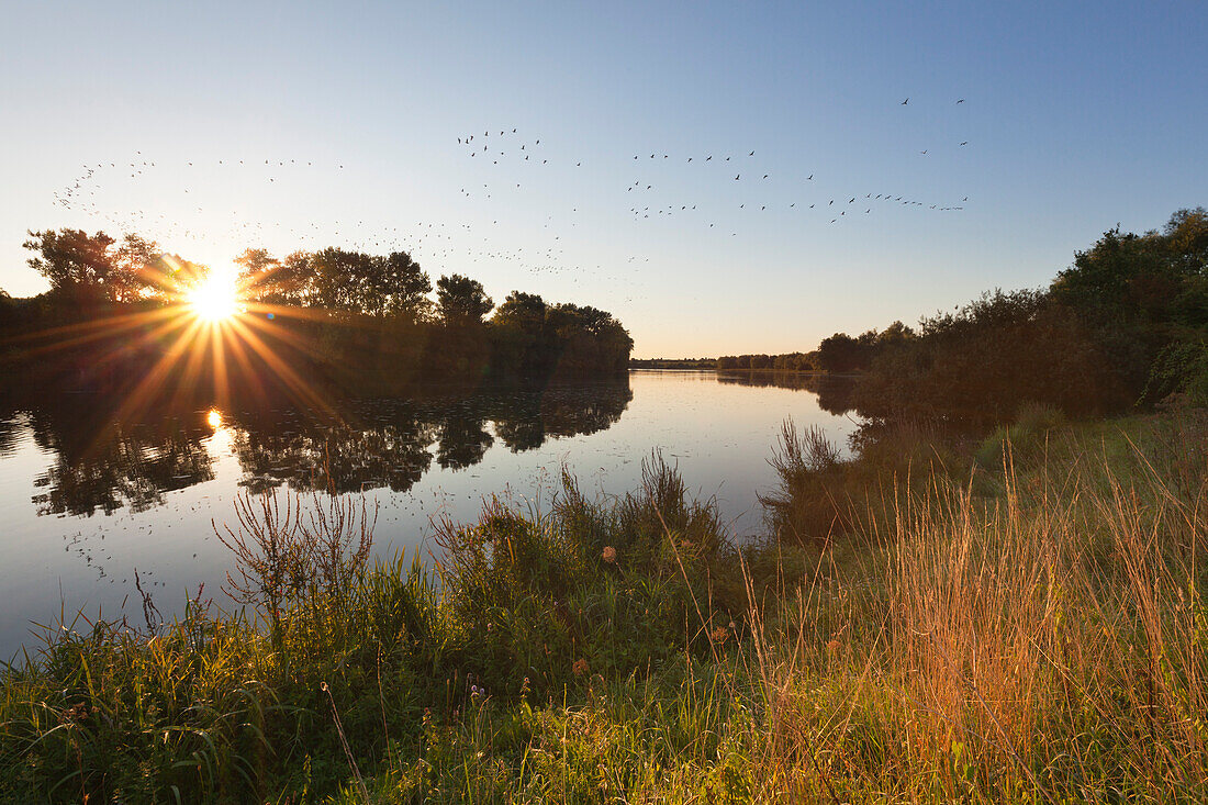 Birtener Altrhein, old arm of Rhine river, near Xanten, Lower Rhine, North-Rhine Westphalia, Germany