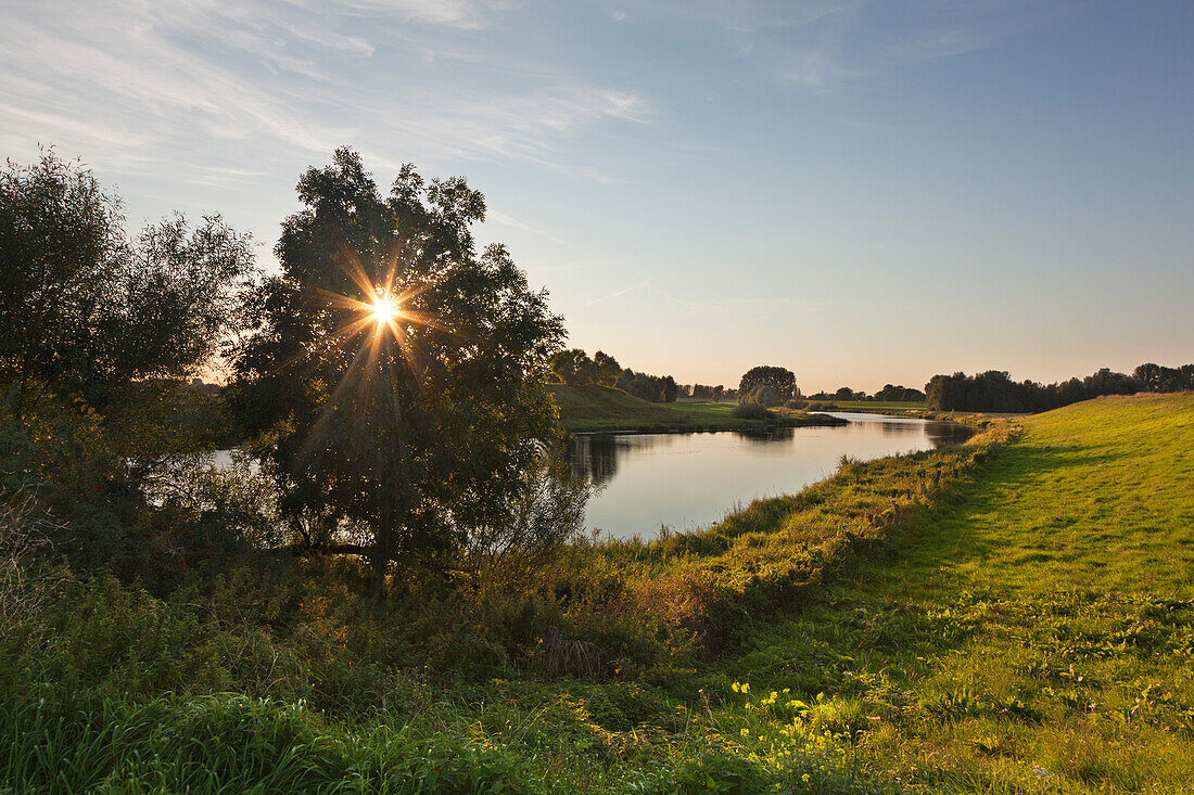 Old arm of Rhine river, near Rees, Lower Rhine, North-Rhine Westphalia, Germany