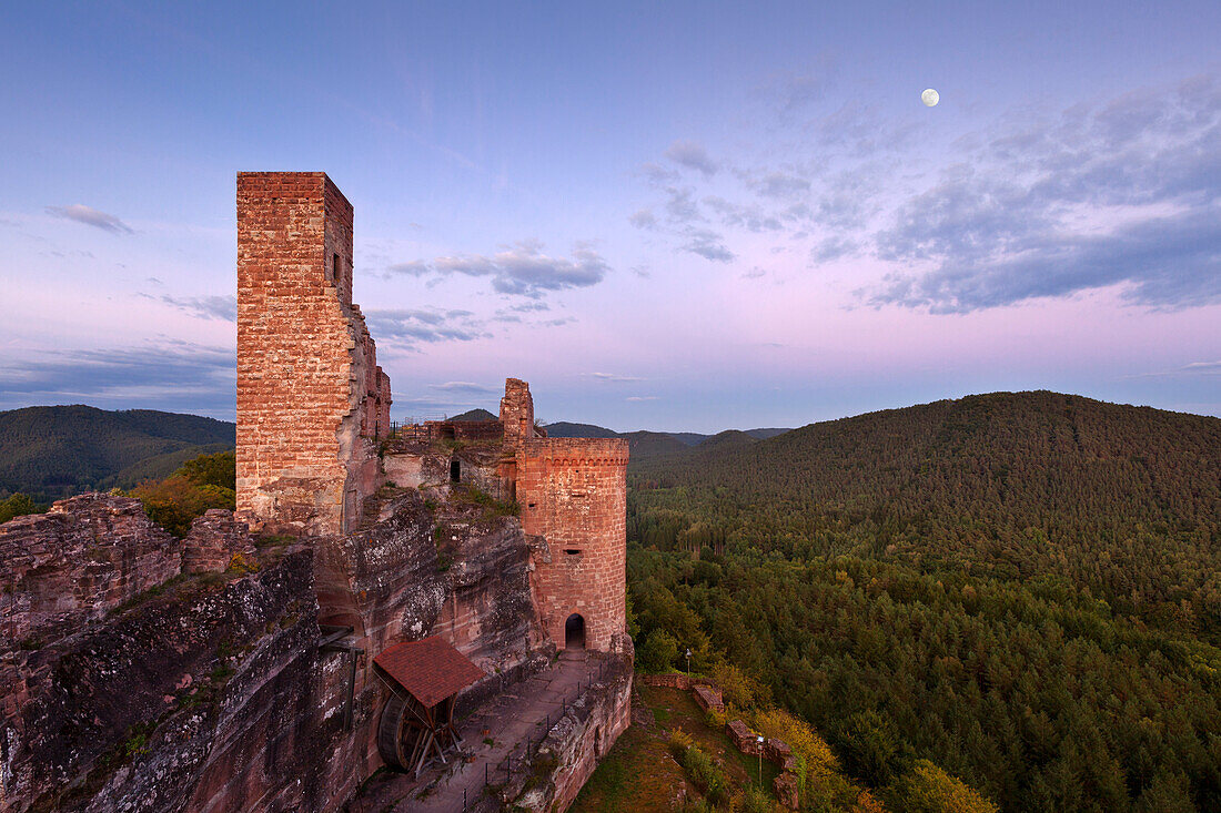 Altdahn castle, castle group Dahner Burgen, near Dahn, Dahner Felsenland, Palatinate Forest nature park, Rhineland-Palatinate, Germany