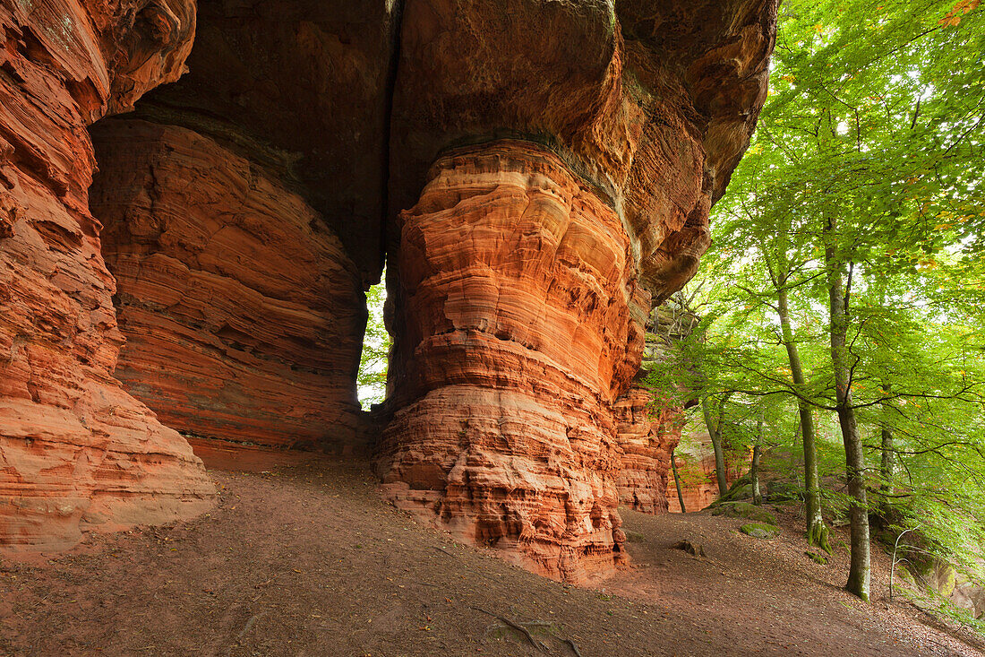 Altschlossfelsen, bei Eppenbrunn, Naturpark Pfaelzer Wald, Rheinland-Pfalz, Deutschland