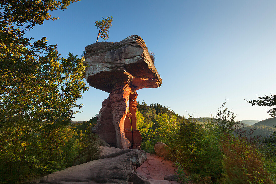 Teufelstisch, Devil´s Table, near Hinterweidenthal, Palatinate Forest nature park, Rhineland-Palatinate, Germany