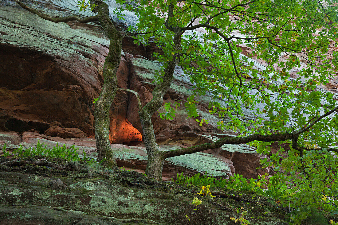 Buettelfels rock, near Dahn, Dahner Felsenland, Palatinate Forest nature park, Rhineland-Palatinate, Germany