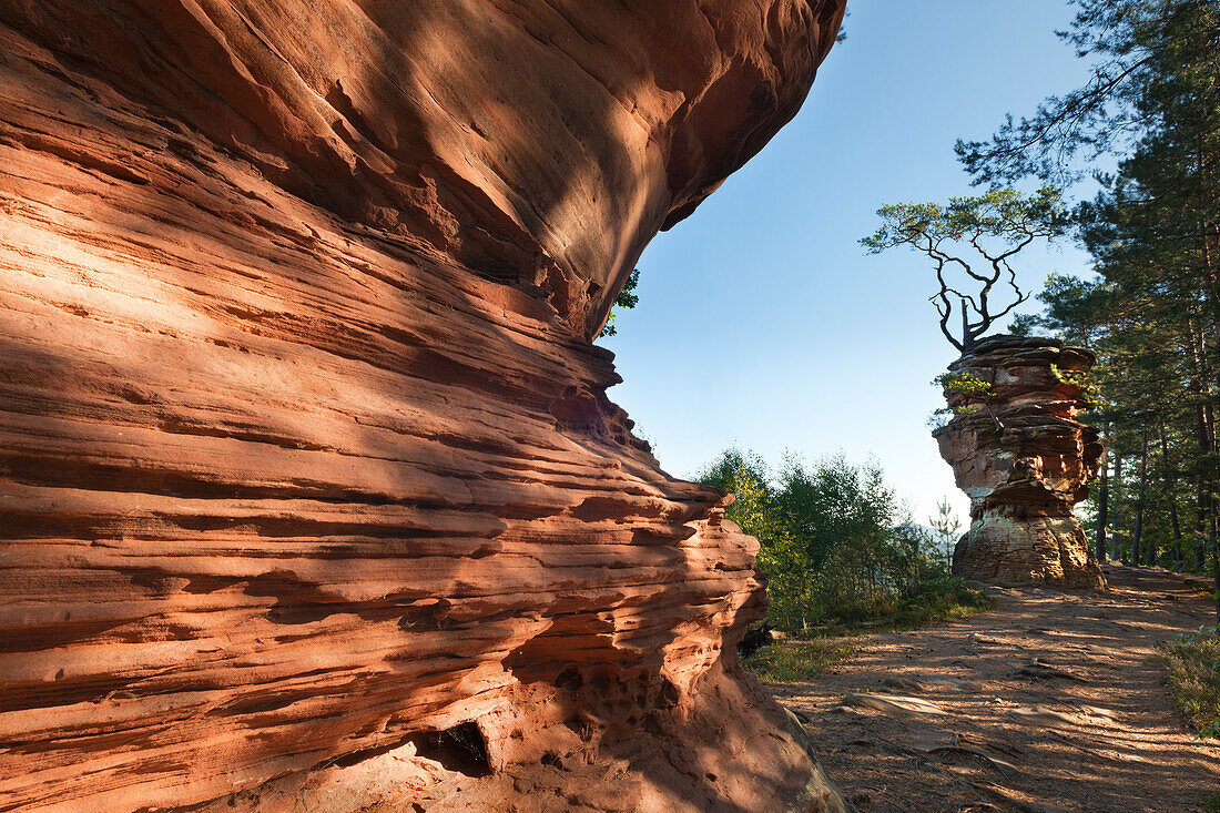 Laemmerfels rock, near Dahn, Dahner Felsenland, Palatinate Forest nature park, Rhineland-Palatinate, Germany