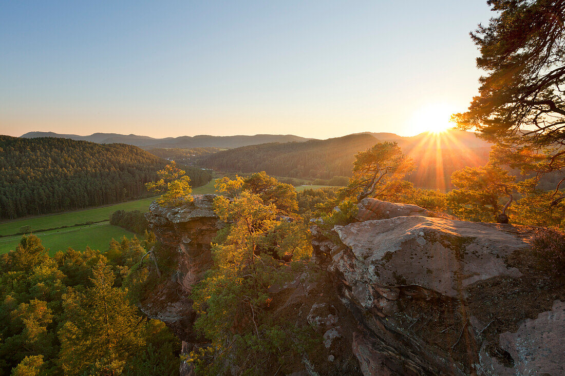 Sprinzelfels rock, near Busenberg, Dahner Felsenland, Palatinate Forest nature park, Rhineland-Palatinate, Germany