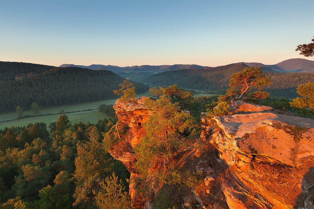 Sprinzelfels rock, near Busenberg, Dahner Felsenland, Palatinate Forest nature park, Rhineland-Palatinate, Germany