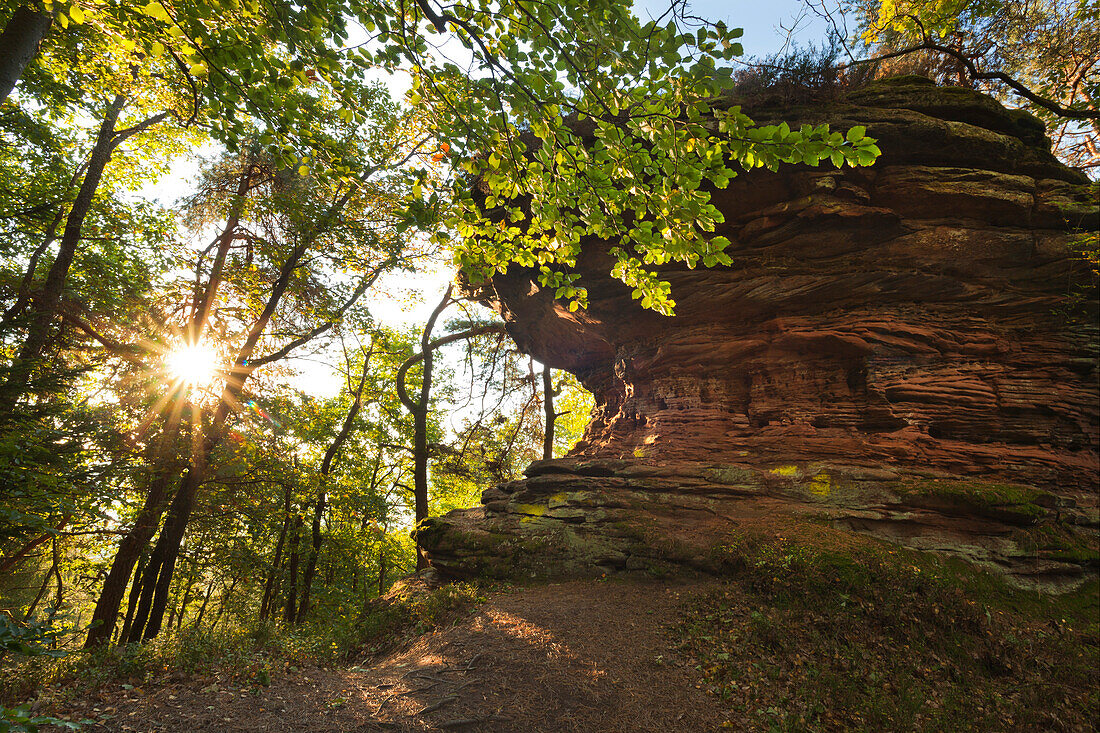 Sprinzelfelsen, bei Busenberg, Dahner Felsenland, Naturpark Pfaelzer Wald, Rheinland-Pfalz, Deutschland