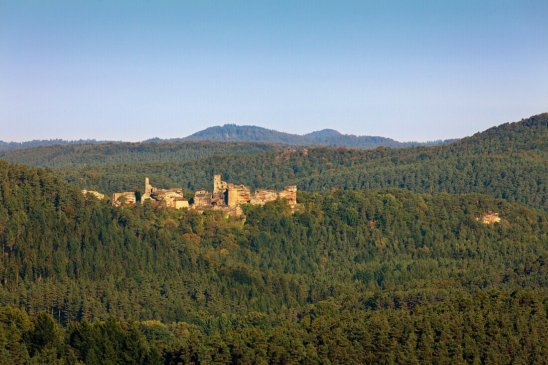 Burgengruppe Dahner Burgen, Dahner Felsenland, bei Dahn, Naturpark Pfaelzer Wald, Rheinland-Pfalz, Deutschland