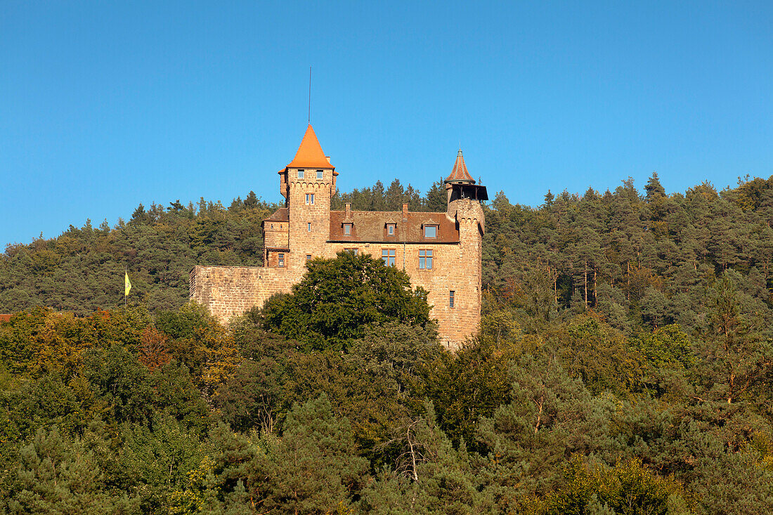 Berwartstein castle, near Erlenbach, Dahner Felsenland, Palatinate Forest nature park, Rhineland-Palatinate, Germany