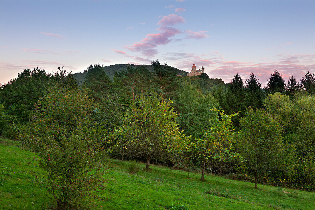 Burg Berwartstein, bei Erlenbach, Dahner Felsenland, Naturpark Pfaelzer Wald, Rheinland-Pfalz, Deutschland
