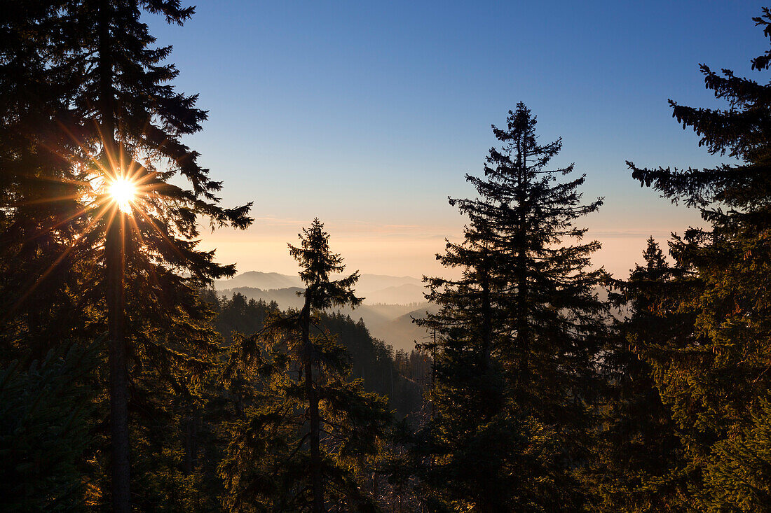 Sunrise at Belchen, view towards the Alps, Black Forest, Baden-Wuerttemberg, Germany