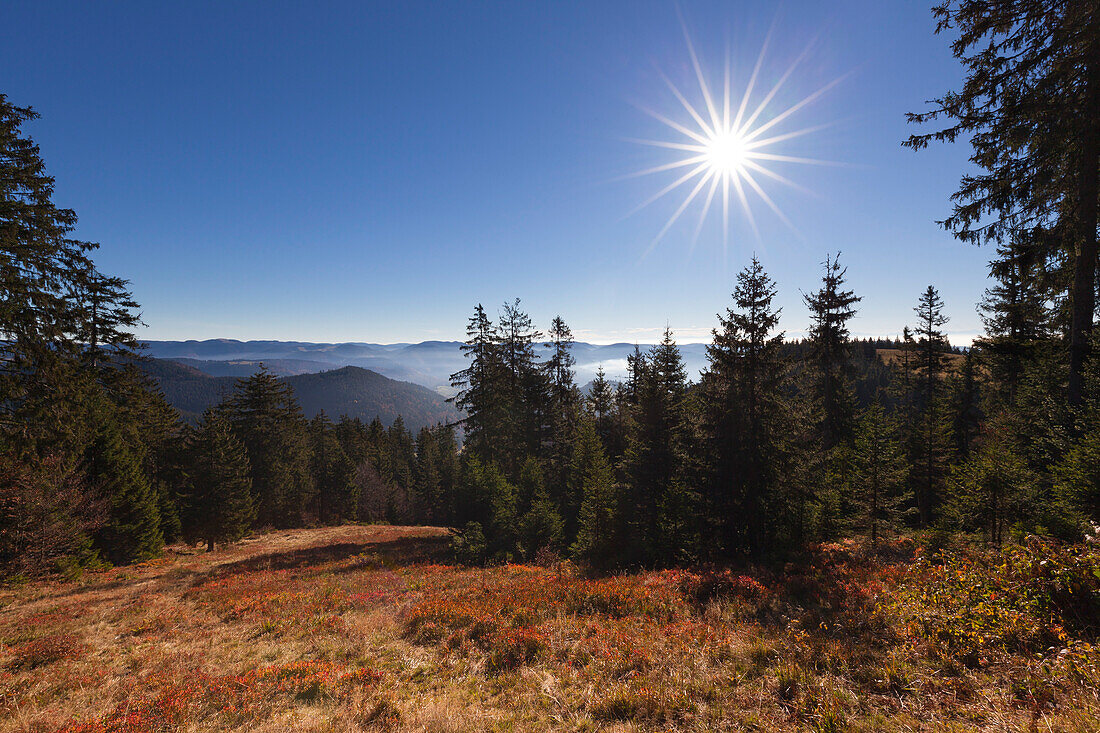 View from Belchen, Black Forest, Baden-Wuerttemberg, Germany