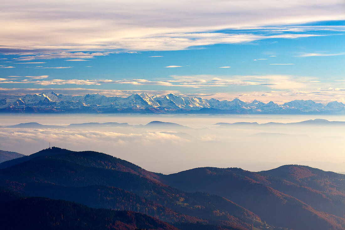 View from Belchen over the fog towards the Alps with Eiger, Moench and Jungfrau, Black Forest, Baden-Wuerttemberg, Germany