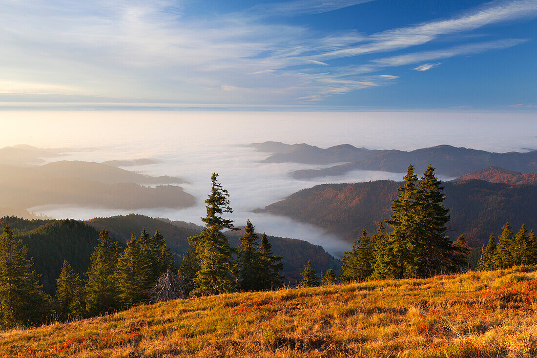 Fog over the Rhine valley, view from Belchen over Muenstertal and Rhine valley towards the Vosges, Black Forest, Baden-Wuerttemberg, Germany