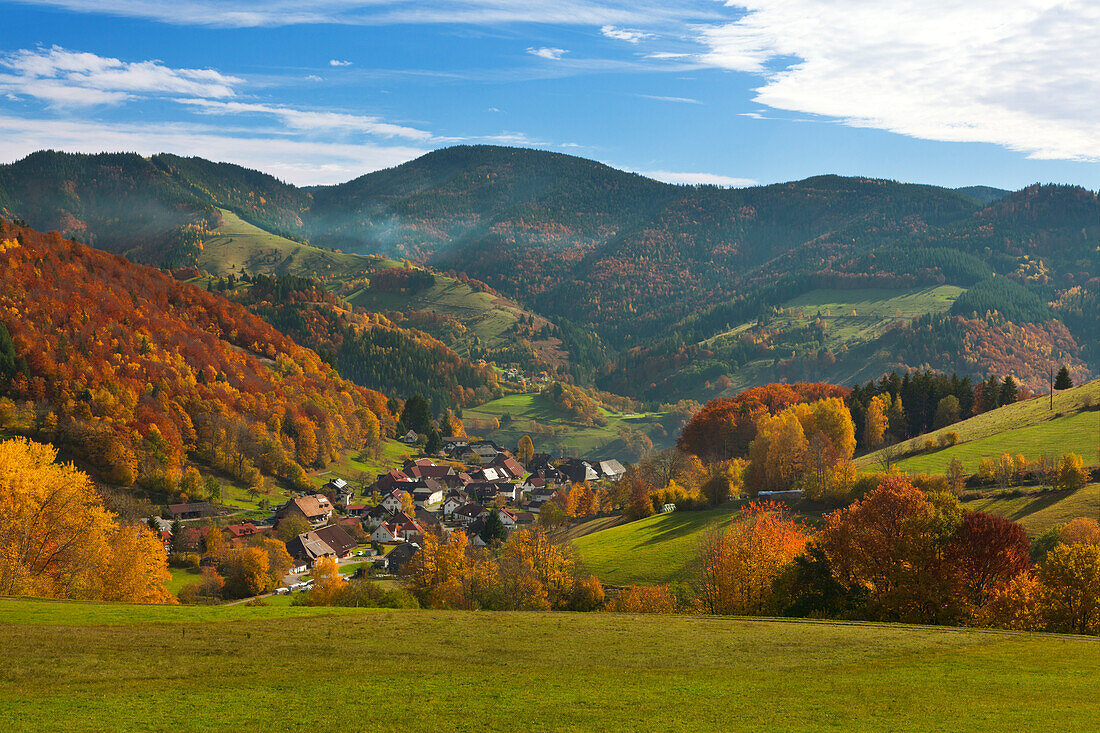Landscape near Schoenau, Black Forest, Baden-Wuerttemberg, Germany
