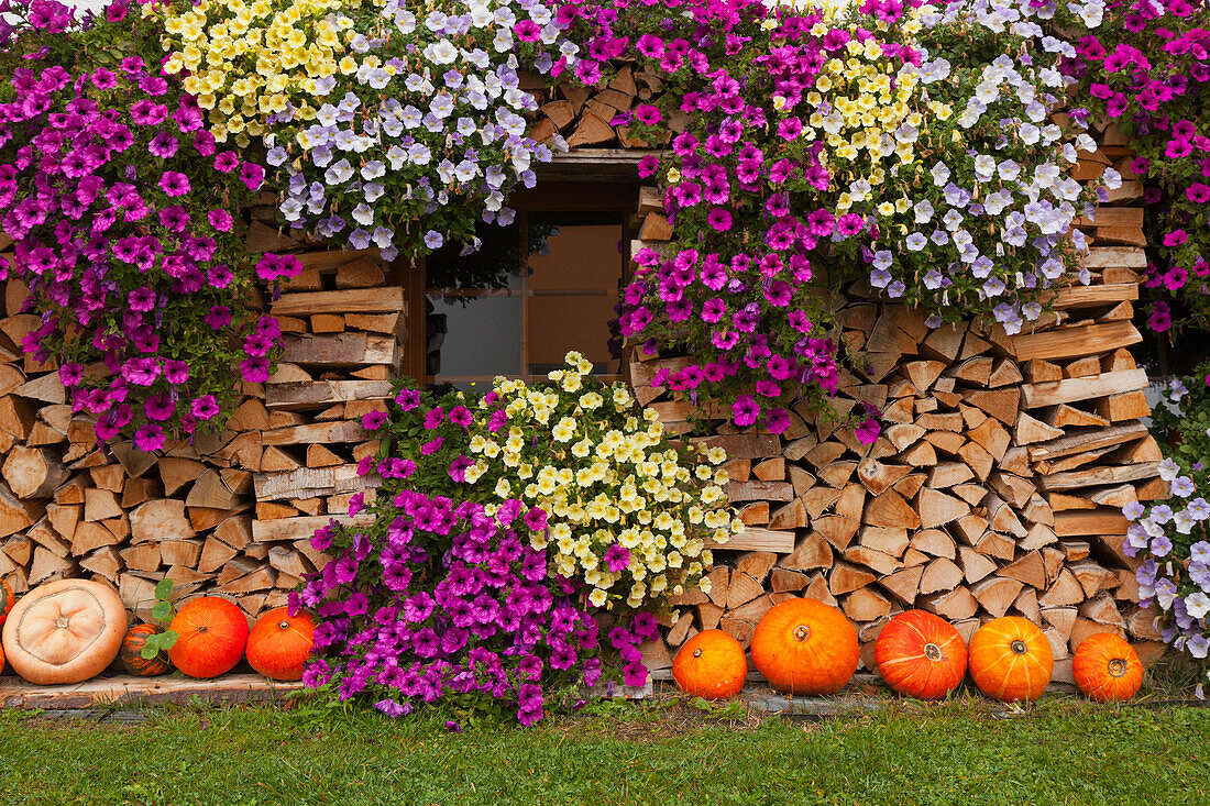 Herbstliche Dekoration an einem Bauernhof in Wieden, Suedlicher Schwarzwald, Baden-Wuerttemberg, Deutschland