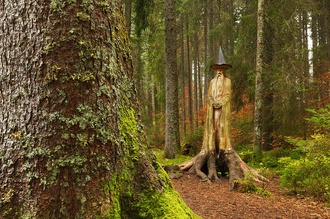 Wood scupture „Merlin“ in Zauberwald nature reserve Taubenmoos, near Bernau, Black Forest, Baden-Wuerttemberg, Germany