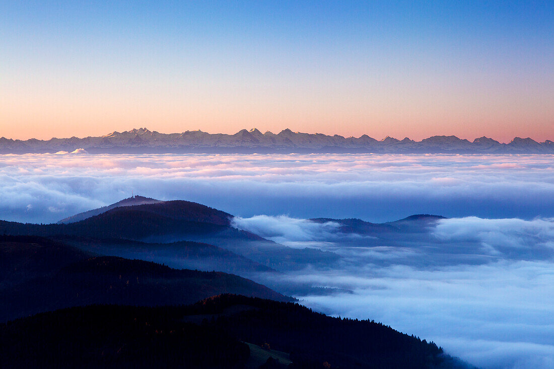 View from Belchen over the fog towards the Alps with Eiger, Moench and Jungfrau, Black Forest, Baden-Wuerttemberg, Germany