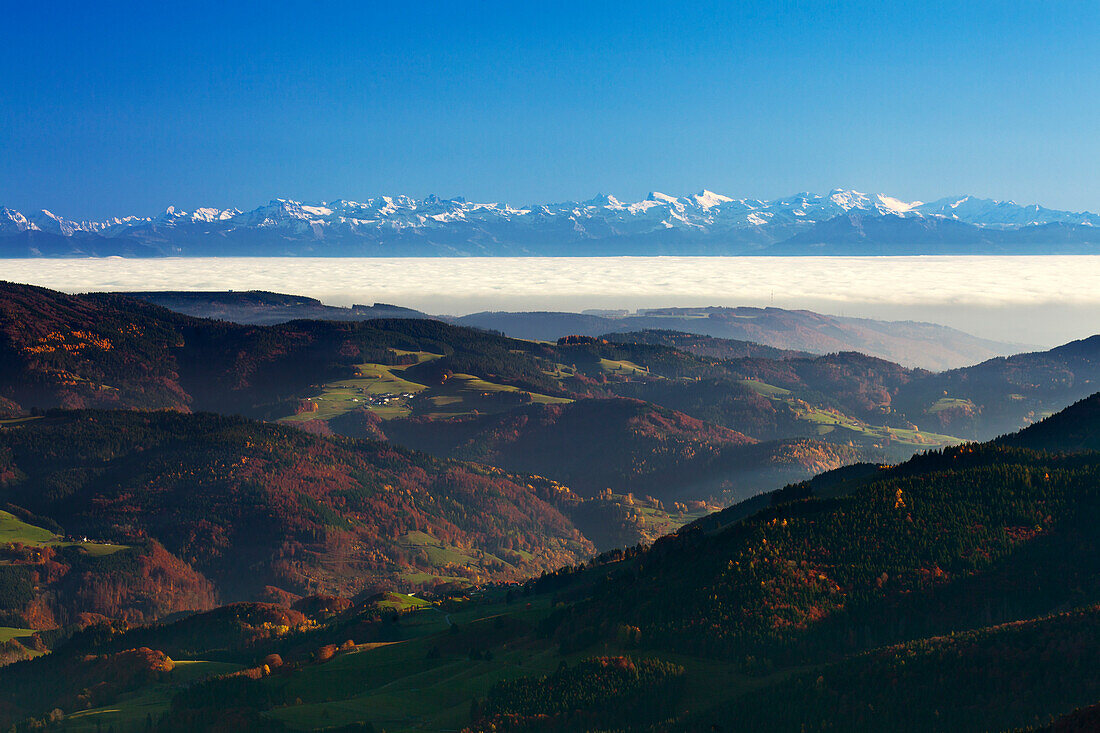 View from Belchen over the fog towards the Alps, Black Forest, Baden-Wuerttemberg, Germany