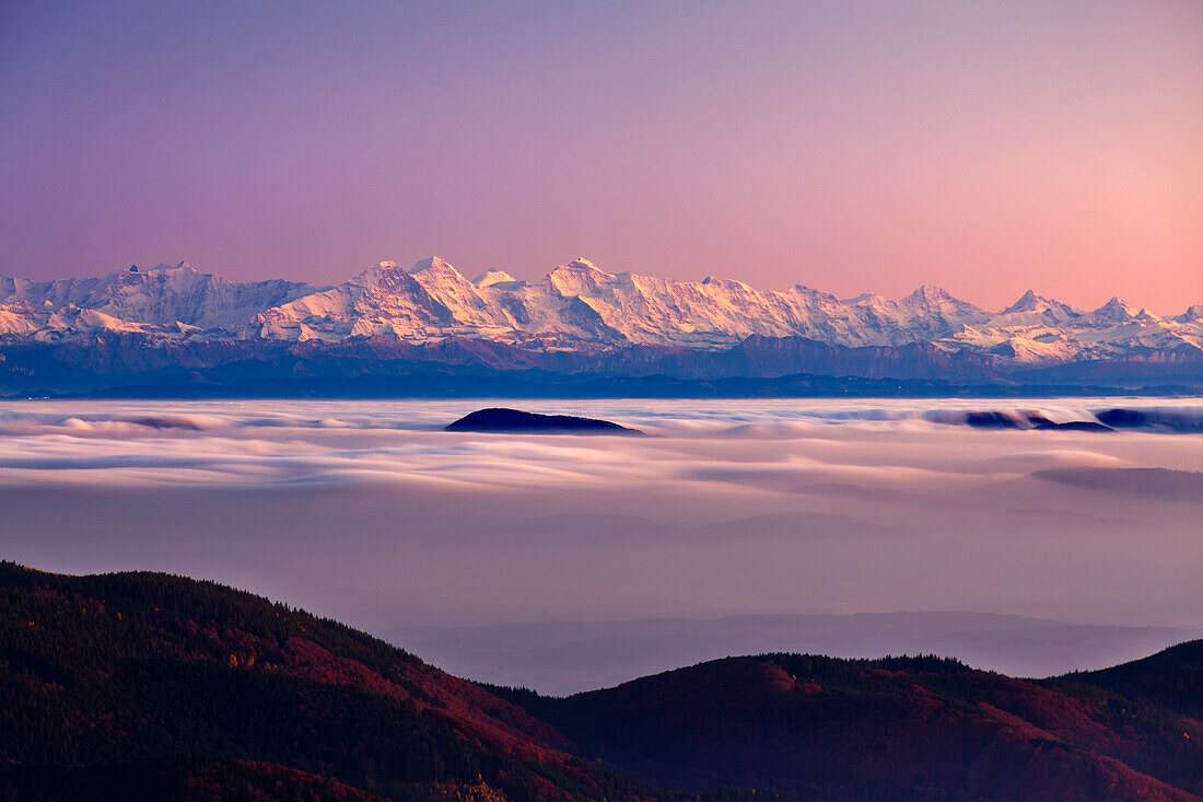 View from Belchen over the fog towards the Alps with Eiger, Moench and Jungfrau, Black Forest, Baden-Wuerttemberg, Germany