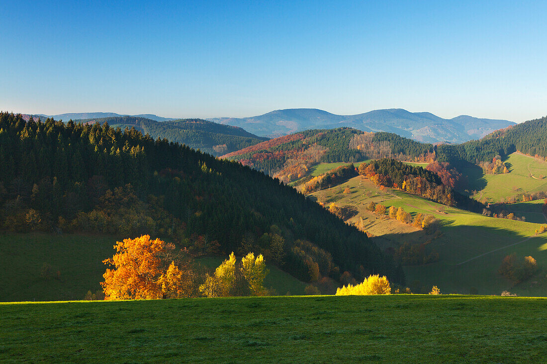 Landwassereck near Oberprechtal, Black Forest, Baden-Wuerttemberg, Germany