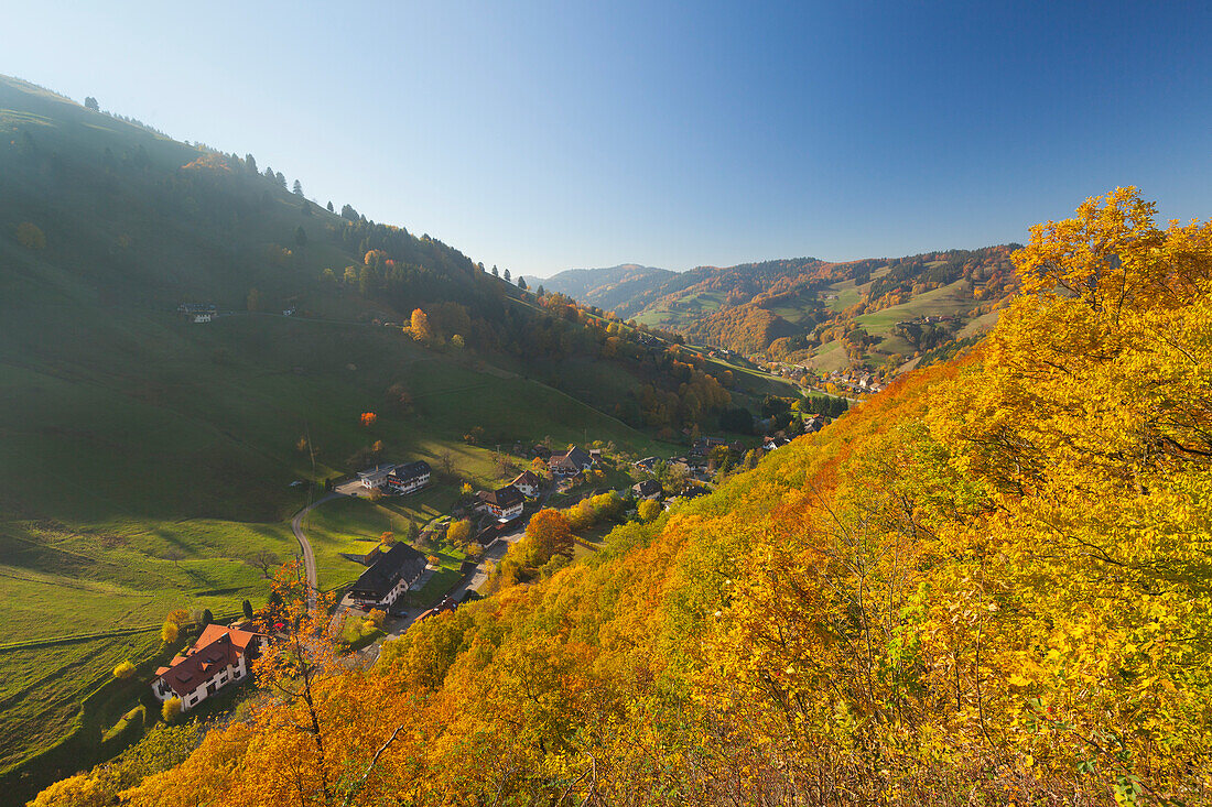 Muenstertal, Suedlicher Schwarzwald, Baden-Wuerttemberg, Deutschland