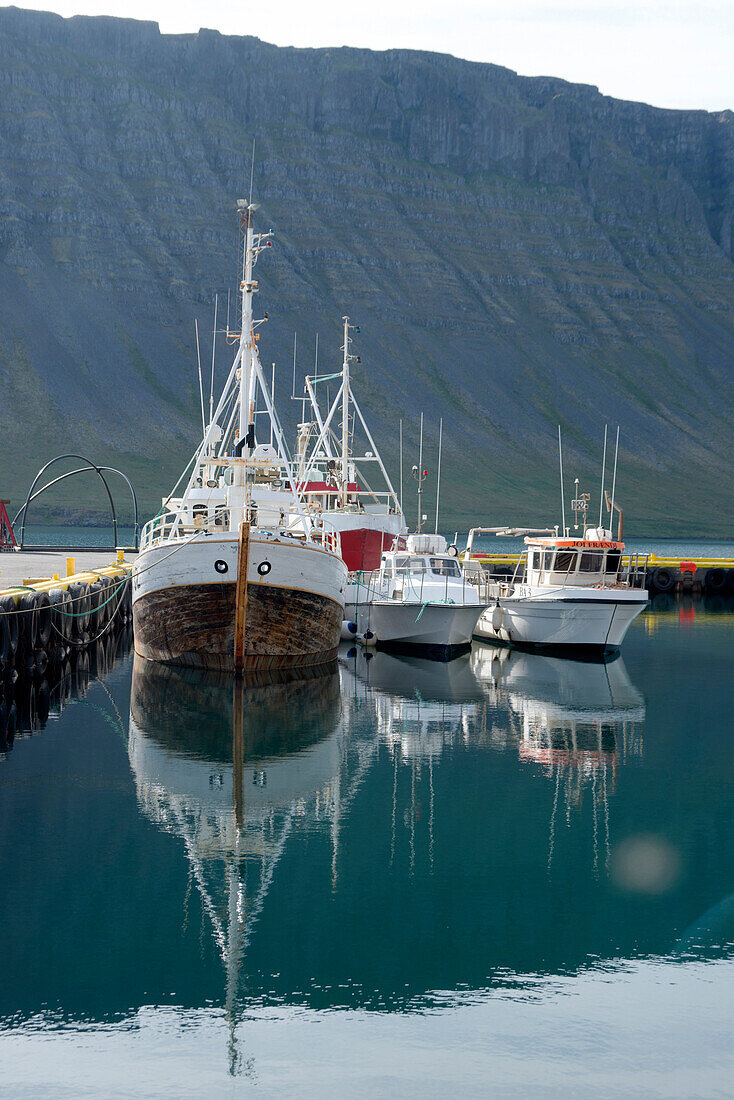 Fishing boats in the harbour at the village of Bildudalur, West Fjords, Iceland, Polar Regions