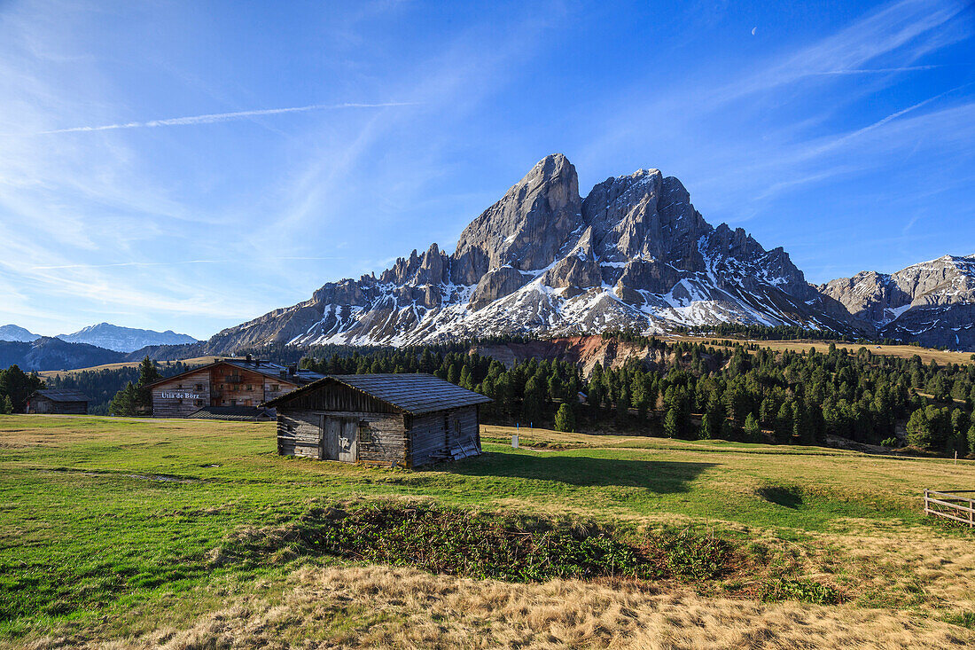 Sass de Putia in background enriched by green meadows, Passo delle Erbe, Puez Odle, South Tyrol, Dolomites, Italy, Europe