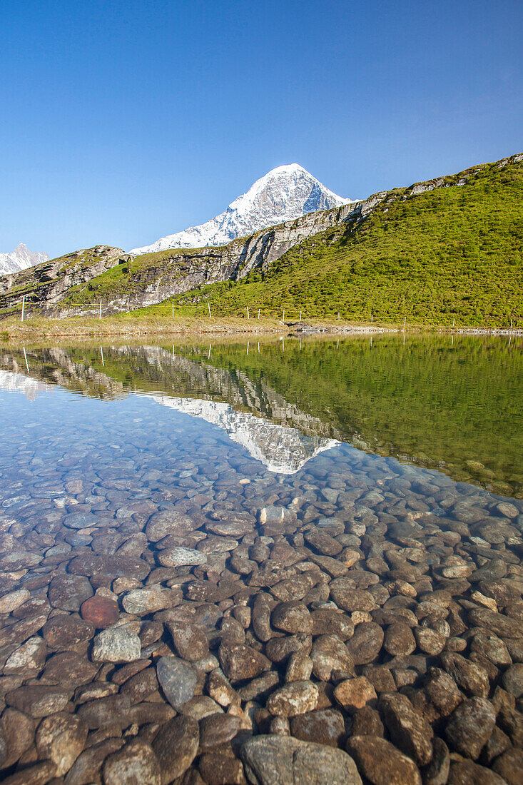 Mount Eiger reflected in a creek, Mannlichen, Grindelwald, Bernese Oberland, Canton of Bern, Swiss Alps, Switzerland, Europe